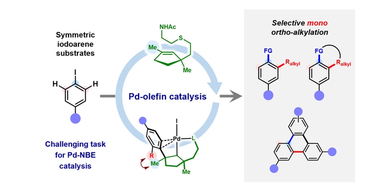 Congratulations to Yu-Xiu for the publication of his work in Nature Synthesis.